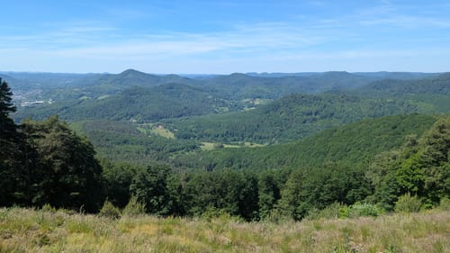 Zum Orensfels und der Landauer Hütte