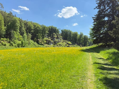Paradiestal
