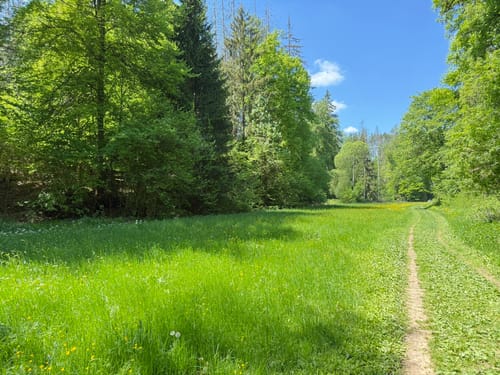 Paradiestal