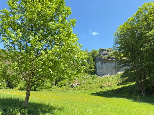 Paradiestal