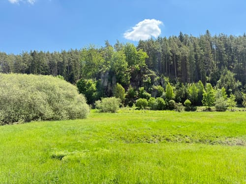 Paradiestal