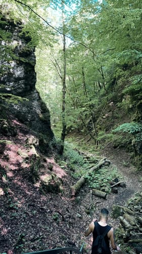 Felsental / Magental