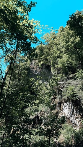 Felsental / Magental