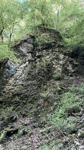 Felsental / Magental