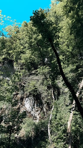 Felsental / Magental