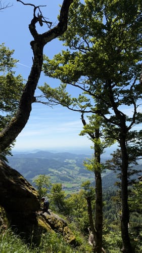 Kandel-Tour (Josef-Seger-Weg)