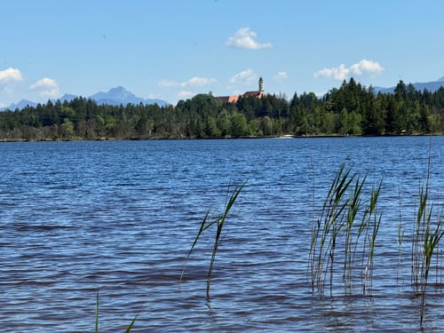 NSG Ellbach- und Kirchseemoor ab Kloster Dietramszell