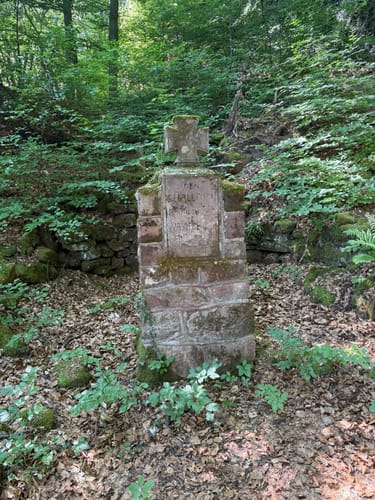 Wasserliescher Panoramasteig (Premiumwanderweg)