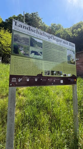 Ruine Frankenstein