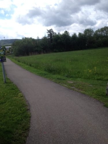Güglingen um dem Schnarrenberg nach Frauenzimmern
