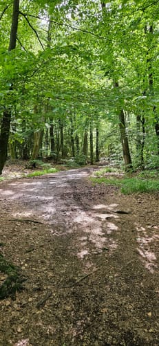 Velmerstot Rundwanderung