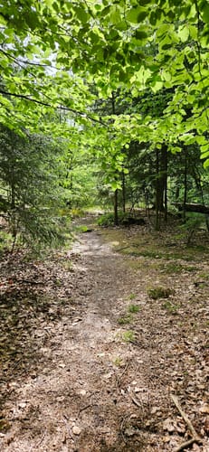 Velmerstot Rundwanderung