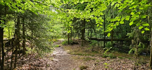 Velmerstot Rundwanderung