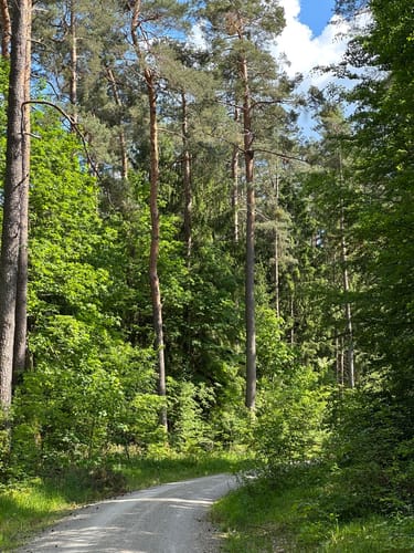Laufstrecke: Never Walk Alone 3