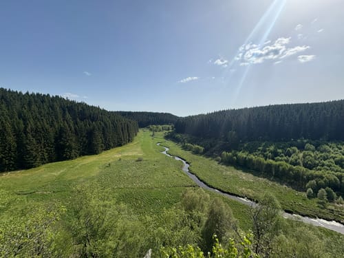 Bieley-Felsen ab Gut Heistert