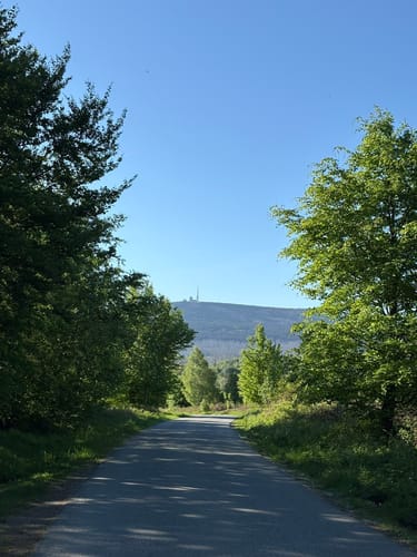 Steinerne Renne - Brocken