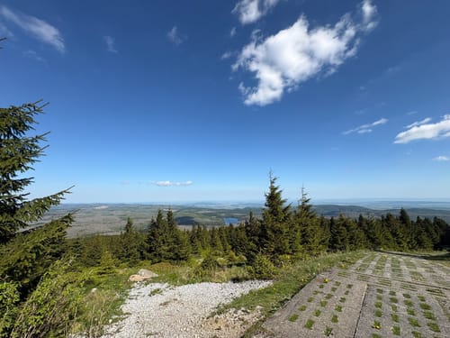 Steinerne Renne - Brocken