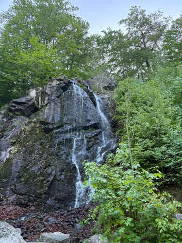Steinerne Renne - Brocken