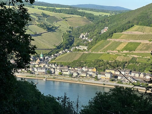 Morgenbachtal Rundweg ab Burg Rheinstein