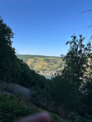 Morgenbachtal Rundweg ab Burg Rheinstein