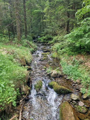 Wanderweg 13 Wühnried - Oberbreitenau - Wühnried