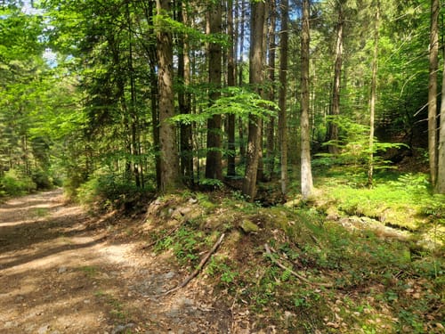 Wanderweg 13 Wühnried - Oberbreitenau - Wühnried