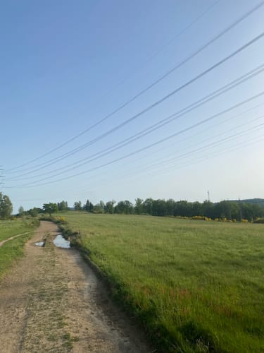 Trupbacher Heide - Naturerlebnisweg südwestlich von Siegen-Geisweid