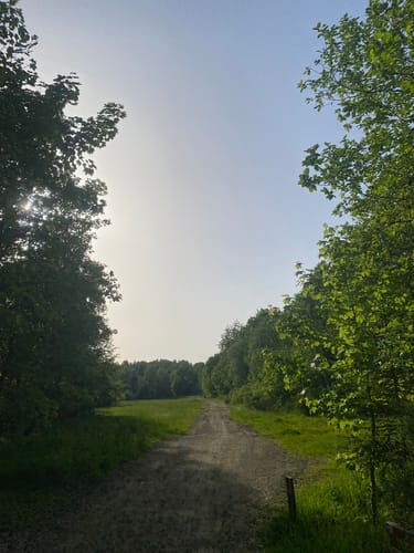Trupbacher Heide - Naturerlebnisweg südwestlich von Siegen-Geisweid