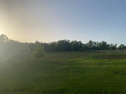 Trupbacher Heide - Naturerlebnisweg südwestlich von Siegen-Geisweid