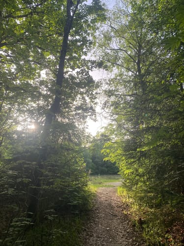 Trupbacher Heide - Naturerlebnisweg südwestlich von Siegen-Geisweid