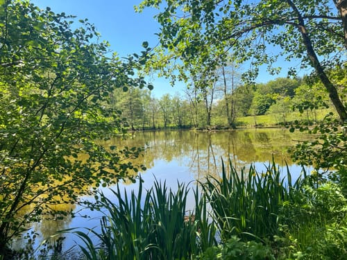 Naturschutzgebiet Altengronau Rundweg