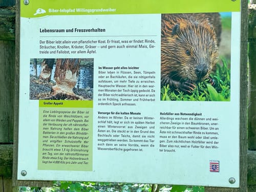 Naturschutzgebiet Altengronau Rundweg