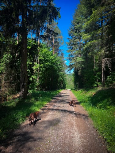 Naturschutzgebiet Altengronau Rundweg