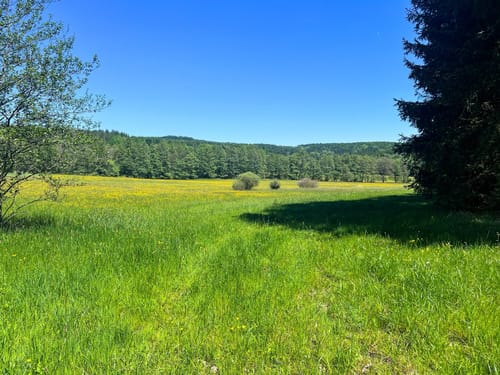 Naturschutzgebiet Altengronau Rundweg
