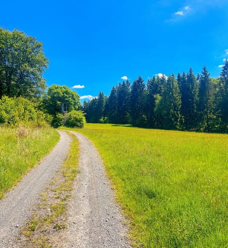 Naturschutzgebiet Altengronau Rundweg