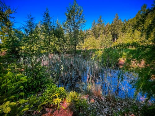 Naturschutzgebiet Altengronau Rundweg