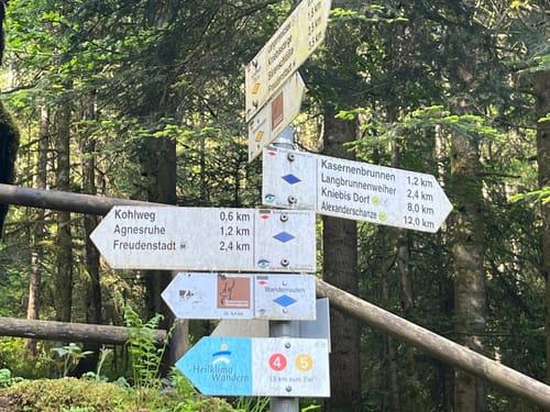 Langenwaldsee Rundwanderung