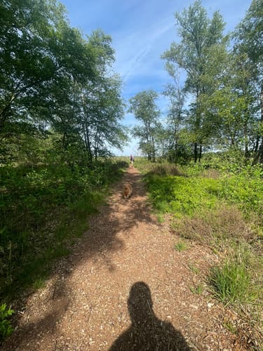 Moorpadd im Neustädter Moor