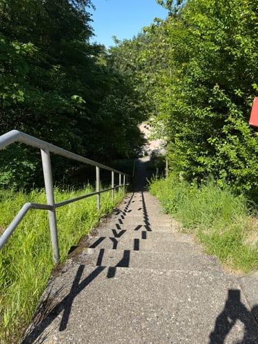 Wolftristkopf und Erdmannshöhle
