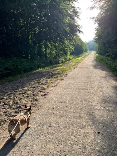 Wanderweg A3 (Ratingen)