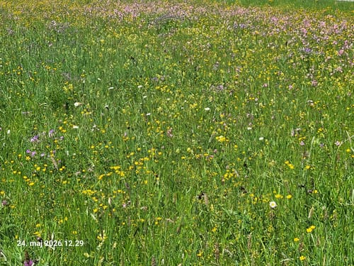 Rundweg ab Oberammergau entlang der Ammer