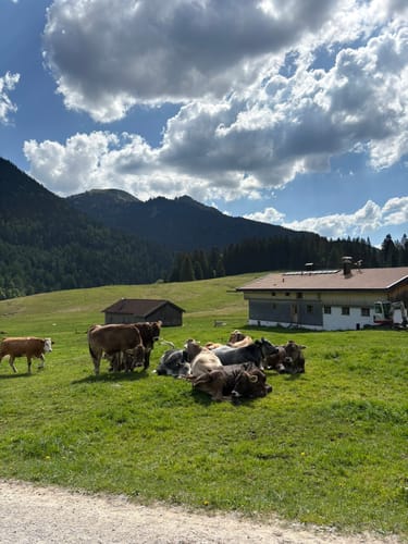 Spitzingsee - Roßkopf - Grünsee