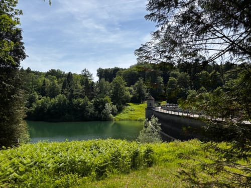 Rund um das Gelpetal und Ronsdorfer Talsperre