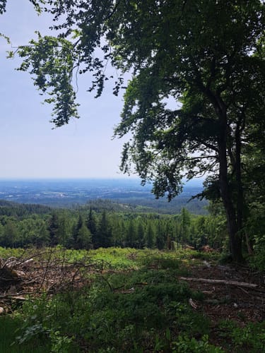 Römerrunde