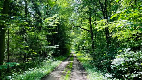 Rundweg Bagnosee/Steinfurt