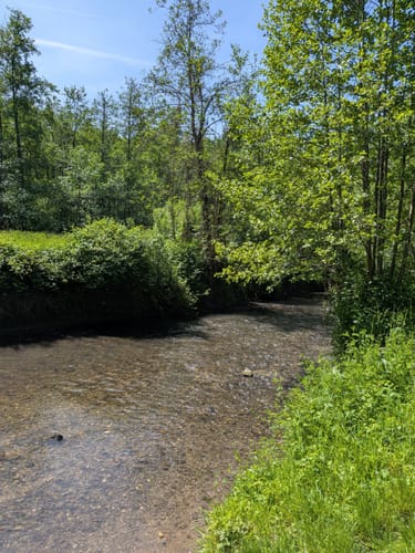 Auermühle Rundweg