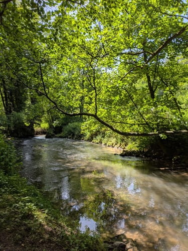 Auermühle Rundweg