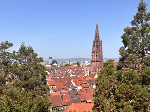 Schlossberg Runde Freiburg