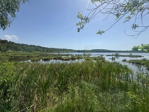 Rußweiher Rundweg