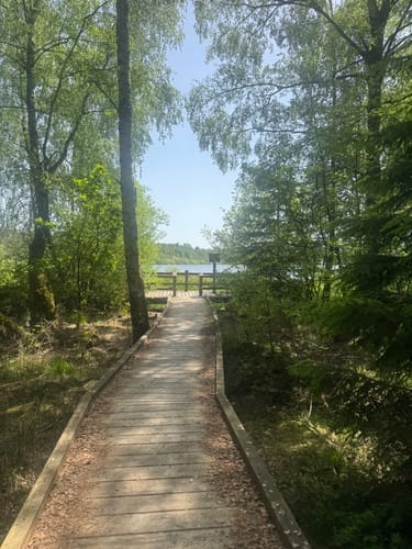 Rußweiher Rundweg
